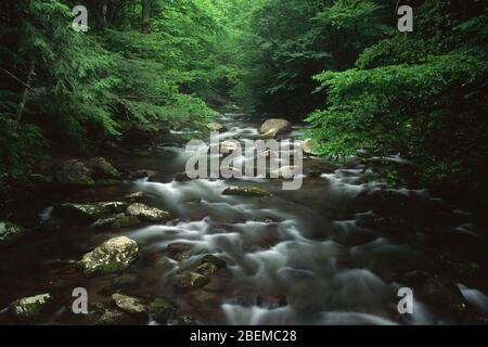 Fiume Oconaluftee, Great Smoky Mountains National Park, North Carolina Foto Stock