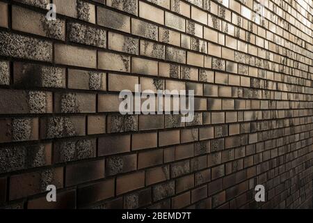 Muro di mattoni in luce serale. Foto Stock