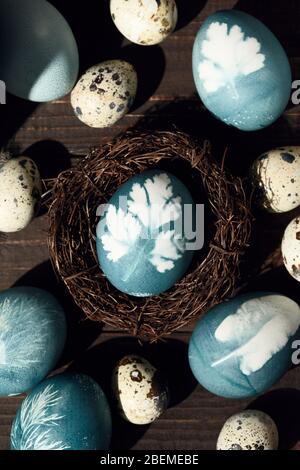 Uova dipinte blu con stampa di prezzemolo in nido su tavola di legno. Decorazione di Pasqua. Vista dall'alto sfondo rustico Foto Stock