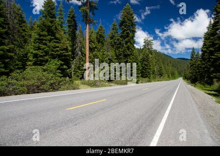 View looking up a forested highway, West Side Road (County 531, Volcanic Legacy Highway) in Klamath County, southern Oregon Cascades Foto Stock