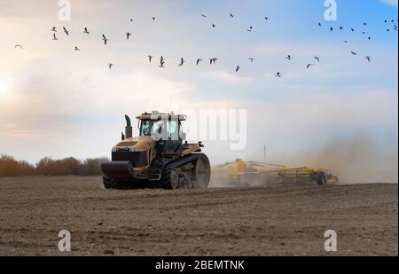 L'agricoltore nel trattore la preparazione di terra con il seedbed coltivatore, sunset shot Foto Stock