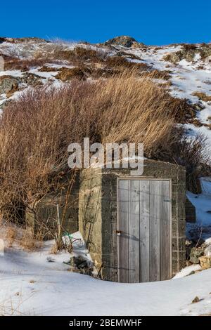 Cantina radice, costruita per mantenere le verdure ad una temperatura costante, uno di molti in Twillingate, Terranova, Canada [Nessun rilascio di proprietà; disponibile per Foto Stock