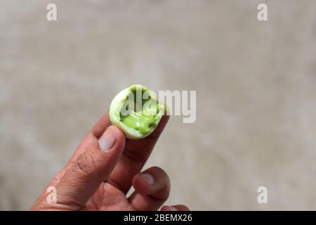 Primo piano dei cioccolatini Lindt Lindor Matcha Tea Flavour Foto Stock