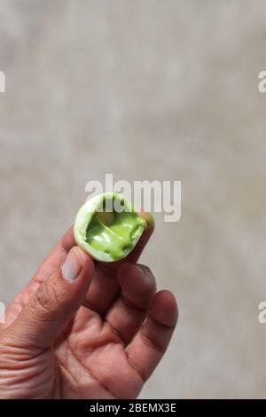 Primo piano dei cioccolatini Lindt Lindor Matcha Tea Flavour Foto Stock