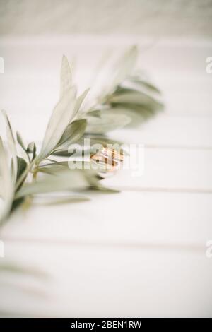 Anelli di nozze e ramo di olive. Su sfondo bianco. Foto Stock