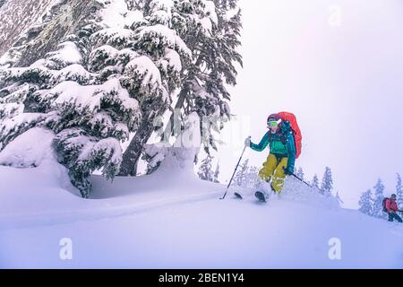 Donna che salta dalla cima della collina nevosa mentre sci di fondo in BC Foto Stock