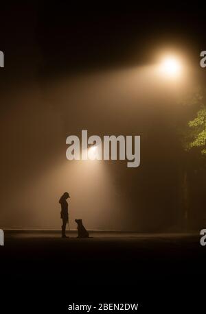 Ragazza e cane su Foggy Lamp Lit Street Foto Stock