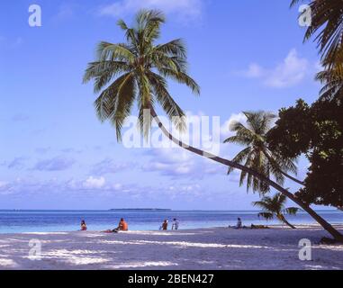 Tropical Beach, Kuda Bandos Island, Kaafu Atoll, Repubblica delle Maldive Foto Stock