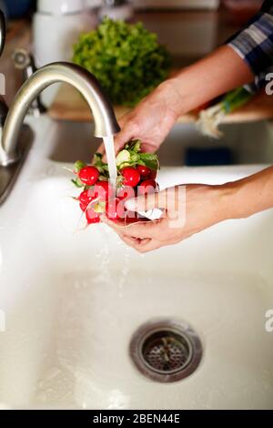 Primo piano delle mani della donna lavando buck di ravanelli Foto Stock