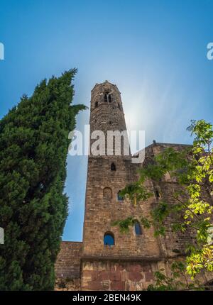 Barcellona cattedrale e scultura in una giornata di sole in città Foto Stock