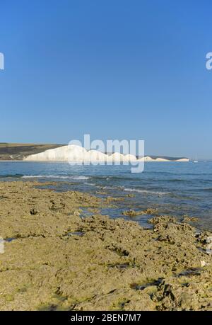 Le famose scogliere di Seven Sisters nel Sussex, viste dalla spiaggia sotto la riserva naturale di Seaford Head, East Sussex, Regno Unito Foto Stock