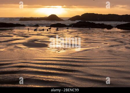 Onde che si infrangono sulle rocce naturali durante il tramonto a Seal Rock, Oregon Foto Stock