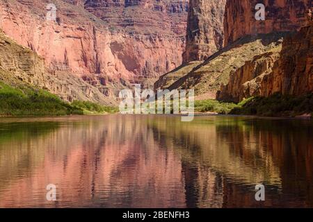 Il Grand Canyon Cliff Reflections nel fiume Colorado, il Grand Canyon National Park, Arizona, USA Foto Stock