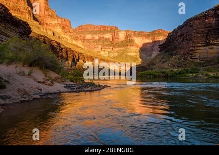 Luce serale che riflette le pareti del Grand Canyon nel fiume Colorado al campo del Blacktail Canyon, al Parco Nazionale del Grand Canyon, Arizona, Stati Uniti Foto Stock