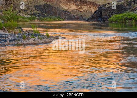 Luce serale che riflette le pareti del Grand Canyon nel fiume Colorado al campo del Blacktail Canyon, al Parco Nazionale del Grand Canyon, Arizona, Stati Uniti Foto Stock