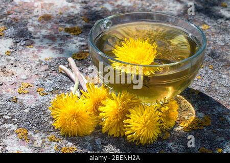 Tè detox fresco fatto in casa da dente di leoni su un tavolo in metallo nel giardino Foto Stock