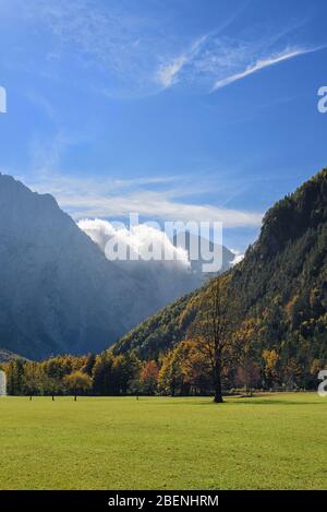 Bellissimo paesaggio autunnale dalla Valle Logar (Logarska dolina) in Slovenia; foto verticale, fotografia di viaggio Foto Stock