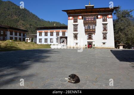 Una scuola per monaci buddisti vicino a Thimphu, Bhutan. Foto Stock