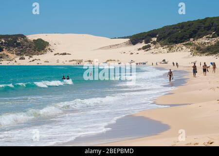 Bolonia, Costa de la Luz, la provincia di Cadiz Cadice Andalusia. Bolonia beach. Playa de Bolonia. In fondo è il Bolonia duna di sabbia, o Foto Stock
