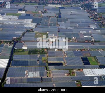 Wateringen, regione Westland, Olanda, 08 - 1988 agosto: Foto aerea storica delle serre o delle serre nella regione Westland per l'orticultaggio Foto Stock