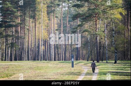 Bergen, Germania. 15 aprile 2020. Una donna cammina lungo l'ex strada principale del campo nel monumento Bergen-Belsen. Esattamente 75 anni fa, il 15 aprile 1945, il campo di concentramento di Bergen-Belsen fu liberato dai soldati britannici. A causa della pandemia di Corona si tratta di una commemorazione molto silenziosa: Quasi tutti i visitatori o anche i testimoni contemporanei trovano la loro strada verso l'ex campo di concentramento nel distretto di celle. Credit: Julian Stratenschulte/dpa/Alamy Live News Foto Stock