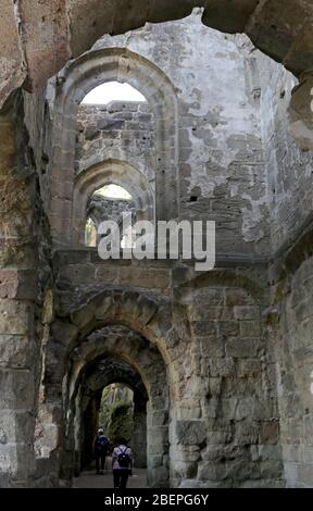 I resti della fortezza e monastero di Oybin nella città termale con lo stesso nome al confine con la Repubblica Ceca e la Polonia sono una popolare destinazione turistica nei monti Zittau, registrato nel 18.09.2019. Inizialmente solo semplice fortificazione - il castello fu ampliato in un complesso fortificato all'inizio del XIV secolo. A metà del XIV secolo, l'imperatore tedesco Carlo IV fece costruire qui una casa imperiale che donò un monastero all'ordine dei Celestini. La riforma pose fine alla vita monastica a metà del XVI secolo. Da allora, le forze della natura nel Foto Stock