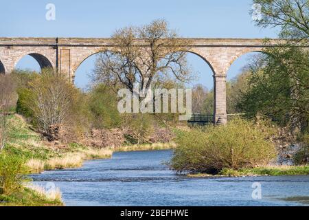 Roxburgh Viadotto, fiume Teviot, Scozia Foto Stock