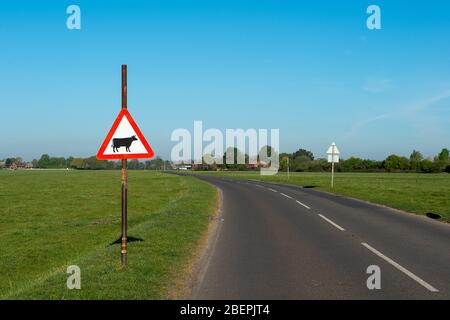 Dorney, Buckinghamshire, Regno Unito. 15 aprile 2020. La strada attraverso Dorney Common è stata abbandonata questa mattina durante l'ora di punta, come la maggior parte delle persone ha prestato attenzione al governo consiglio di rimanere a casa durante il Coronavirus Pandemic Lockdown. Credit: Maureen McLean/Alamy Live News Foto Stock