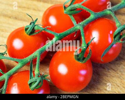 Pomodori ciliegini Vittoria sulla vite su un tagliere di legno Foto Stock