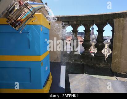 Cracovia. Cracovia. Polonia. L'alveare sul tetto del teatro cittadino nel centro della città vecchia. Foto Stock