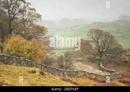 Muretto in pietra a secco curvato su un misty Lake District mattina in autunno Foto Stock