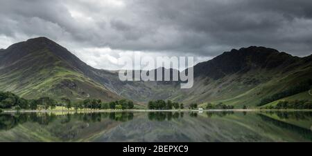 Buttermere Pines nel Lago Dsitrott - una fila ben nota di pini con Fleetwith Pikein sullo sfondo Foto Stock