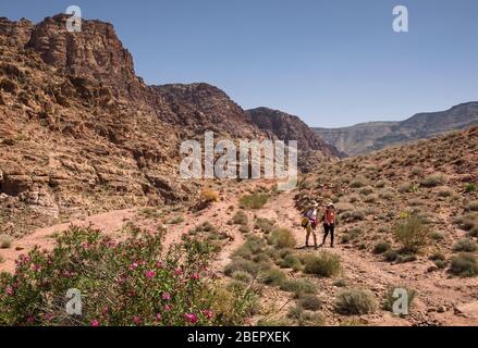 Due escursionisti femminili che camminano lungo il Wadi Dana Trail nella Riserva della Biosfera di Dana, Giordania Foto Stock