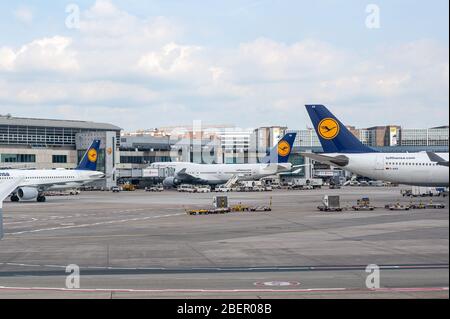 05/26/2019. Aeroporto di Francoforte, Germania. Flotta di aerei lufthansa. Aeroporto gestito da Fraport e funge da hub principale per Lufthansa. Foto Stock