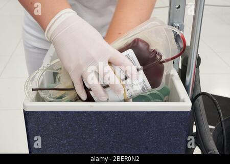 Coblenza, Germania. 15 aprile 2020. Un dipendente del servizio di donazione di sangue DRK ripone una bottiglia di sangue in un contenitore refrigerato nell'atrio del Rhein-Mosel-Halle, dove si verificano di solito eventi. I donatori di sangue vengono ricevuti in stanze più grandi ad una maggiore distanza l'uno dall'altro a causa del rischio di infezione dovuto alla pandemia corona. Credit: Thomas Frey/dpa/Alamy Live News Foto Stock