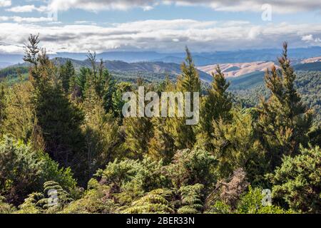 Vista da Hope Saddle Lookout, South Island, Nuova Zelanda Foto Stock