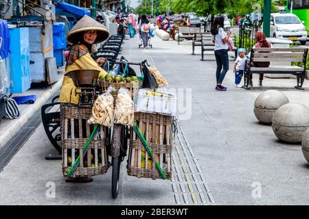 Mobile Fruit Vendor, Yogyakarta, Java, Indonesia. Foto Stock