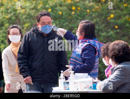 Elezioni generali della Corea del Sud, 15 aprile 2020 : un funzionario elettorale controlla la temperatura di un elettore che arriva in una stazione di scrutinio per le elezioni generali del 15 aprile a Seoul, Corea del Sud. Le elezioni quadrenarie riempiranno l’Assemblea nazionale unicamerale della Corea del Sud, che ha 300 seggi. Per prevenire l'infezione da coronavirus COVID-19, agli elettori è stato chiesto di stare a distanza di almeno 1 metro l'uno dall'altro presso le stazioni di raccolta. Si è consigliato di indossare maschere facciali, controllare la loro temperatura e sono stati lasciati a gettare le schede dopo aver utilizzato disinfettanti per le mani e indossando guanti di plastica. Foto Stock