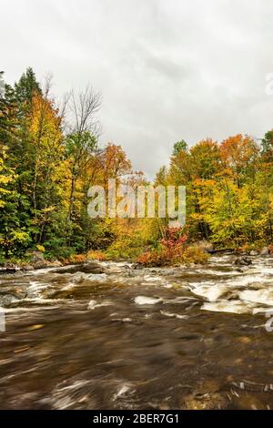 Hoffman Notch Brook in autunno, vicino a North Hudson, Essex County, NY Foto Stock