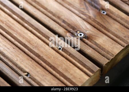 Fai da te costruzione di un portico / balcone pavimento con tavole di legno marrone in Espoo, Finlandia, primavera, 2020. In questa foto potete vedere il piano in corso. Foto Stock