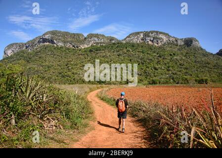 Bellissimo paesaggio nella Valle di Viñales, Cuba Foto Stock
