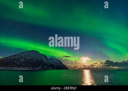 Tende aurorali lungo la costa norvegese. Foto Stock