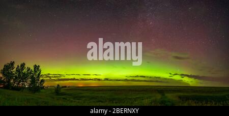 L'arco dell'ovale aurorale attraverso il cielo settentrionale nell'Alberta meridionale, Canada. Foto Stock