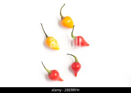 Primo piano di Biquinho Pepper isolato su sfondo bianco Foto Stock