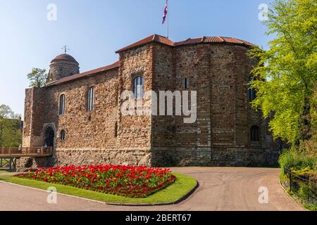 Una vista dello storico Castello di Colchester, situato nella città di Colchester in Essex, Regno Unito. Foto Stock