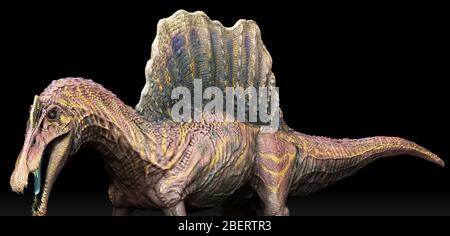 Dinosauro Spinosauro su sfondo nero. Foto Stock