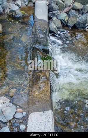 L'acqua fluente sembra essere un vetro a Des Moines Creek nello stato di Washington. Foto Stock