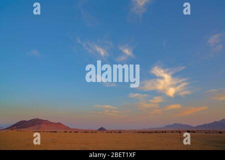 Luce del mattino nel deserto del Namib Foto Stock