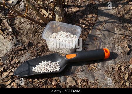 Box con fertilizzante e una piccola pala da giardinaggio. Fertilizzazione di pianta. Inizio primavera. Foto Stock