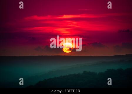 Vista mozzafiato del sole che tramonta sul mite abete degli alberi nella riserva naturale di Strandzha, vicino a Sinemorets, Bulgaria Foto Stock